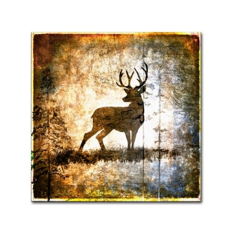 LightBoxJournal 'High Country Deer' Canvas Art,14x14